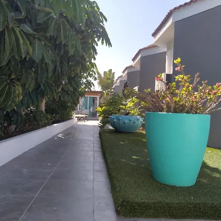 Starboys Gay - Gay Men Only